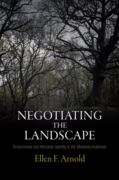 

Negotiating the Landscape
