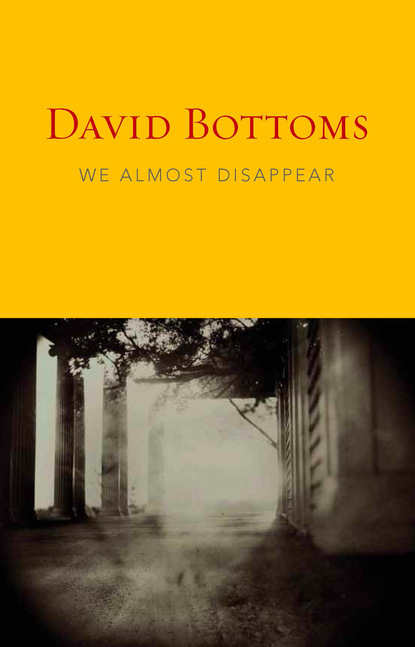 David Bottoms - We Almost Disappear