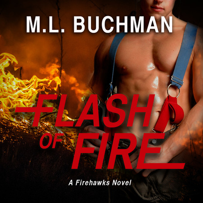 

Flash of Fire - Fire Hawks, Book 4 (Unabridged)