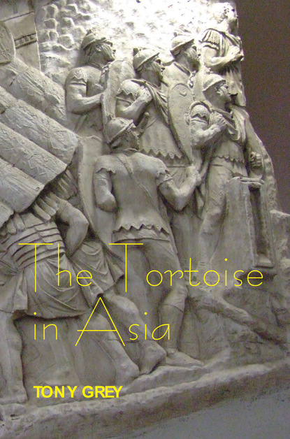 Tony Grey - The Tortoise in Asia