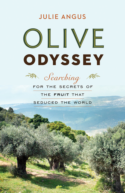 Julie Angus — Olive Odyssey