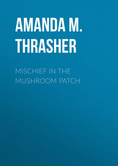 Amanda M. Thrasher — Mischief in the Mushroom Patch