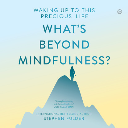 

What's Beyond Mindfulness (Unabridged)