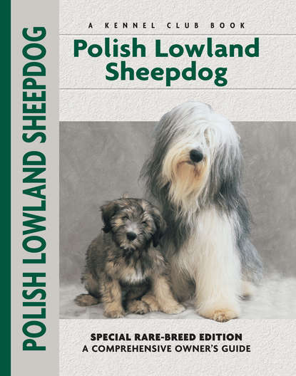 Betty Augustowski - Polish Lowland Sheepdog