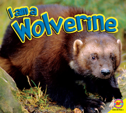 

Wolverine