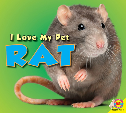 

Rat