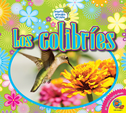 

Los colibríes