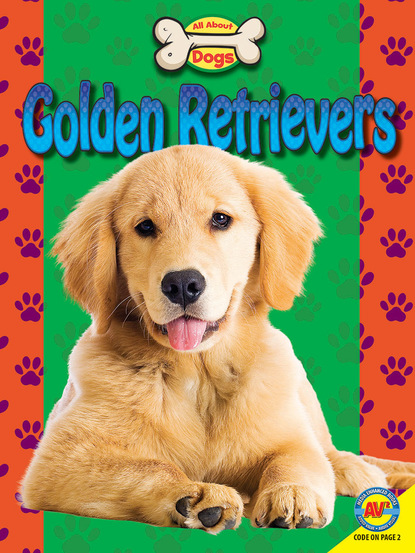 

Golden Retrievers