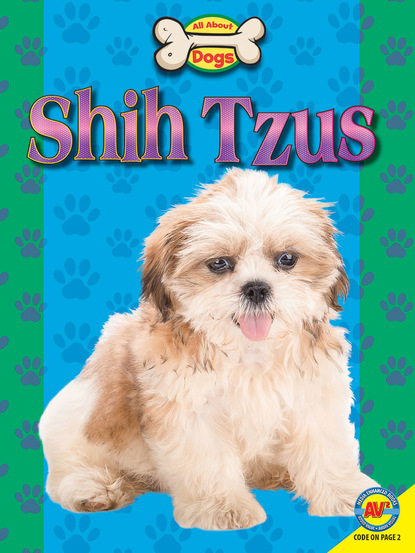 

Shih Tzus