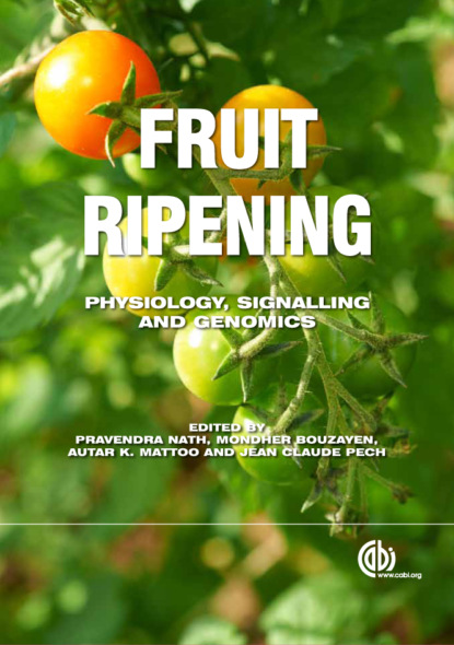 

Fruit Ripening