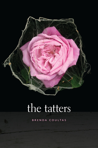 Brenda Coultas - The Tatters