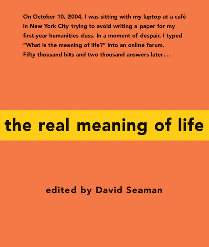 David Seaman - The Real Meaning of Life