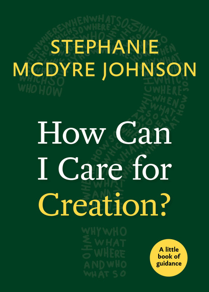 Stephanie McDyre Johnson - How Can I Care for Creation?