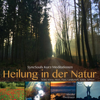 Franziska Diesmann — Heilung in der Natur - SyncSouls Kurzmeditationen: Wald, Wiese, Meer, Fluss, Landschaft, Sonne, Schnee