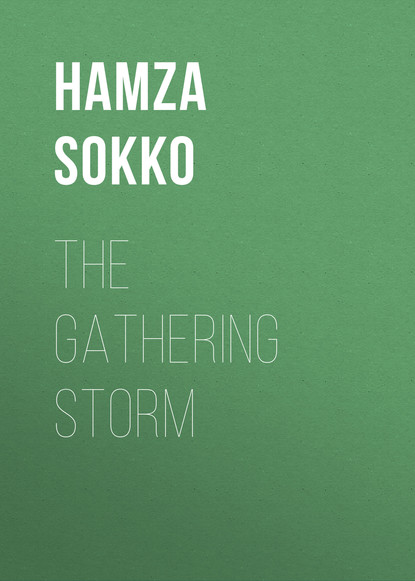 Hamza Sokko - The Gathering Storm