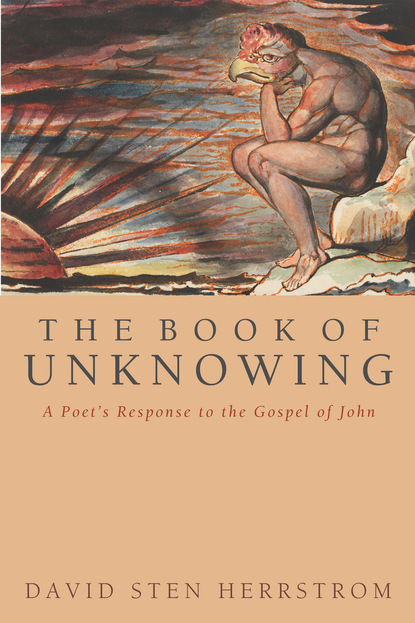 David S. Herrstrom - The Book of Unknowing