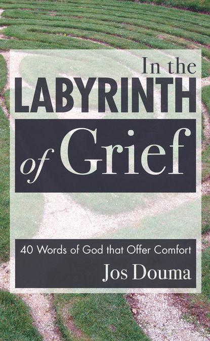 Jos Douma - In the Labyrinth of Grief