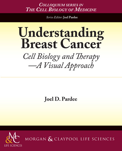 

Understanding Breast Cancer