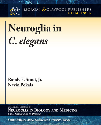 

Neuroglia in C. elegans