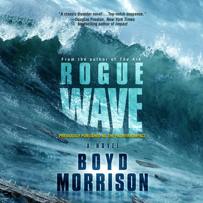 

Rogue Wave (Unabridged)
