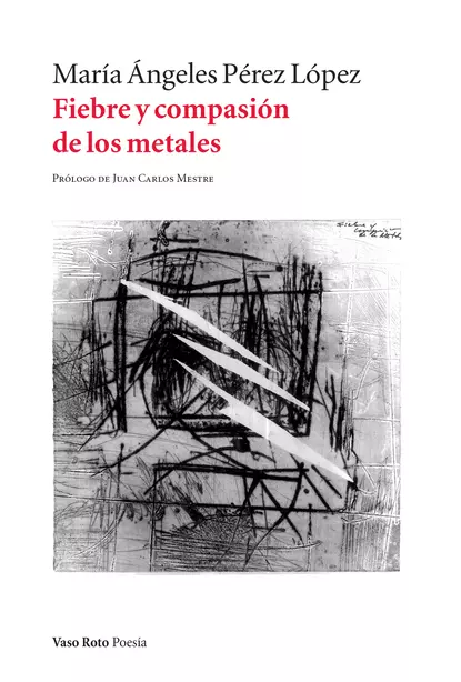 Обложка книги Fiebre y compasión de los metales, María Ángeles Pérez López