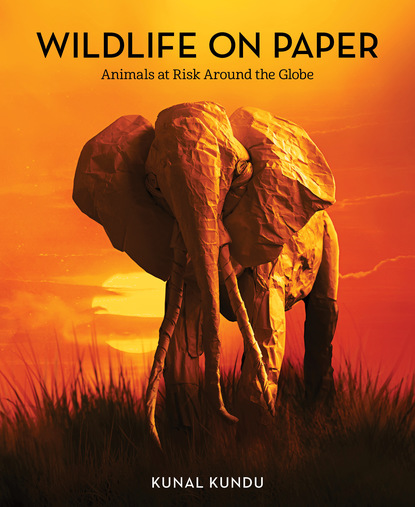 Kunal Kundu - Wildlife on Paper