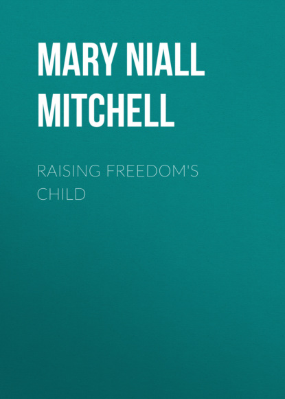 Mary Niall Mitchell - Raising Freedom's Child