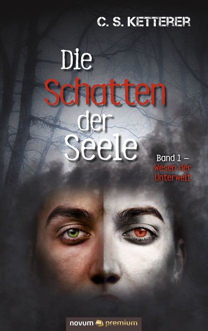 Die Schatten der Seele (C. S. Ketterer). 