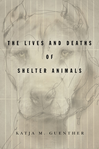 Katja M. Guenther - The Lives and Deaths of Shelter Animals