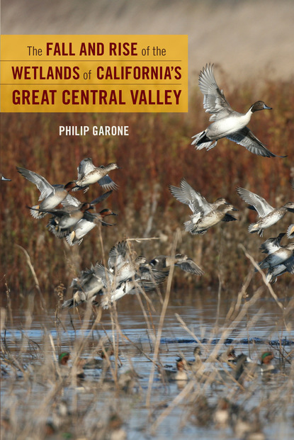 Philip Garone - The Fall and Rise of the Wetlands of California's Great Central Valley