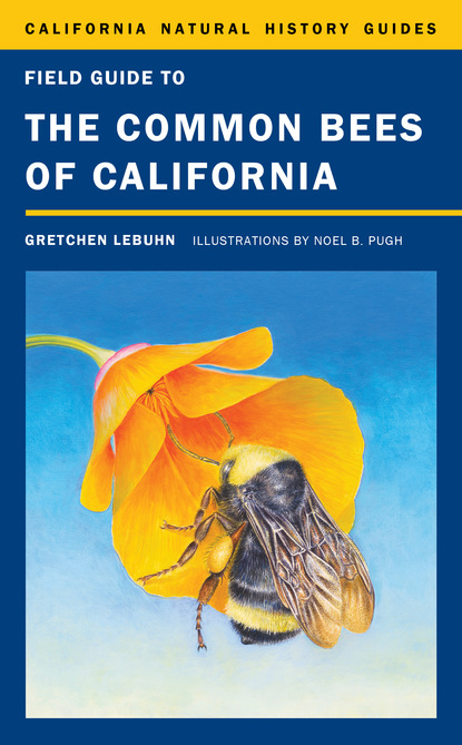 Gretchen LeBuhn - Field Guide to the Common Bees of California