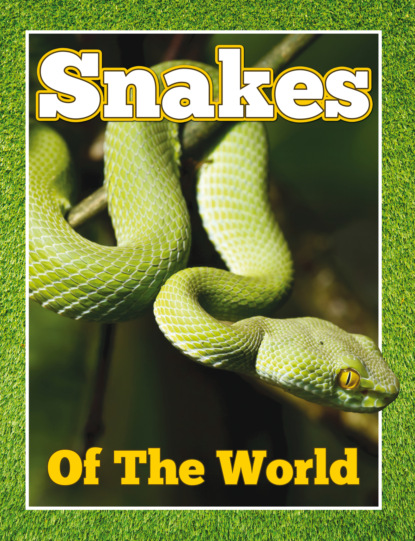 

Snakes Of The World