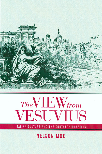 Nelson J. Moe - The View from Vesuvius