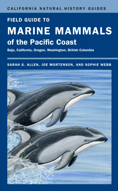 Sarah G. Allen - Field Guide to Marine Mammals of the Pacific Coast