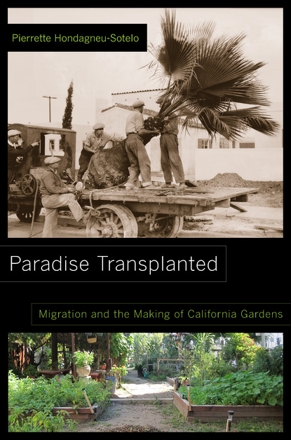 Pierrette Hondagneu-Sotelo - Paradise Transplanted