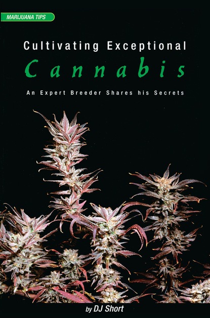 DJ Short - Cultivating Exceptional Cannabis