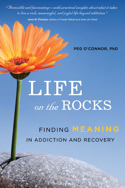

Life on the Rocks
