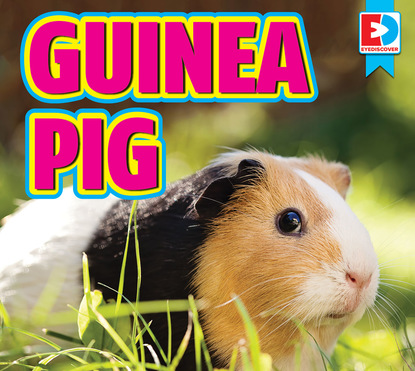 Renae Gilles - Guinea Pigs