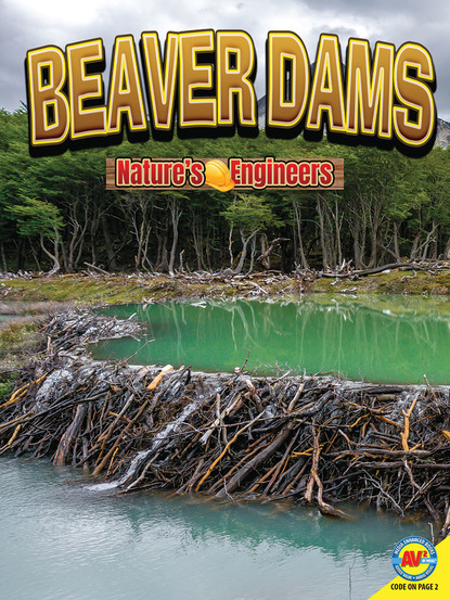 Nancy  Furstinger - Beaver Dams