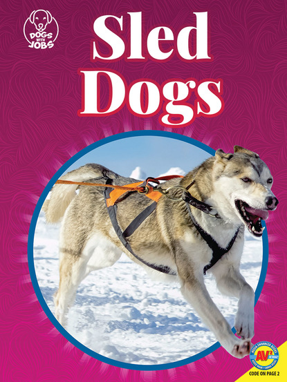 

Sled Dogs