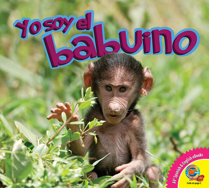 

El babuino