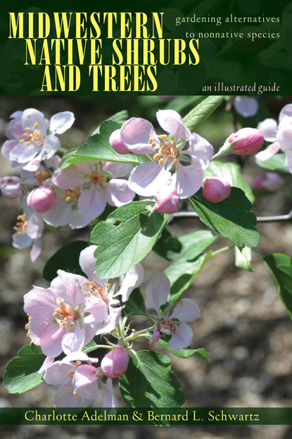 Charlotte Adelman - Midwestern Native Shrubs and Trees