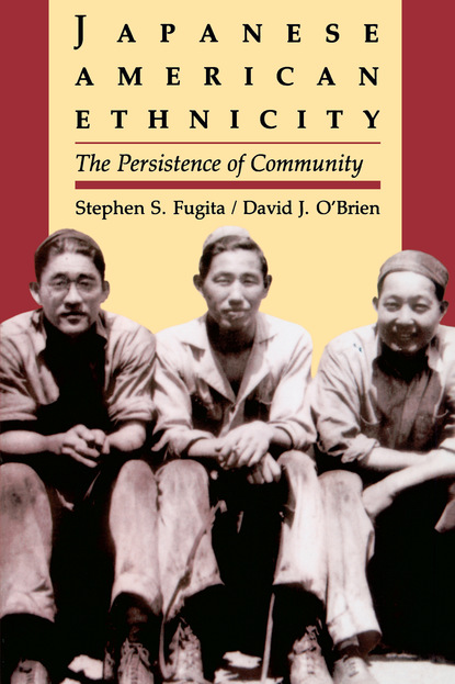 

Japanese American Ethnicity