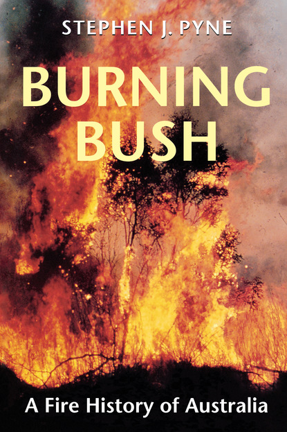 Stephen J. Pyne - Burning Bush