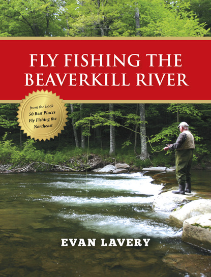 Evan Lavery - Fly Fishing the Beaverkill River