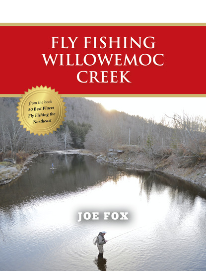 Joe Fox - Fly Fishing Willowemoc Creek