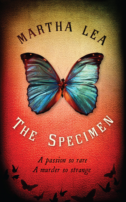 

The Specimen