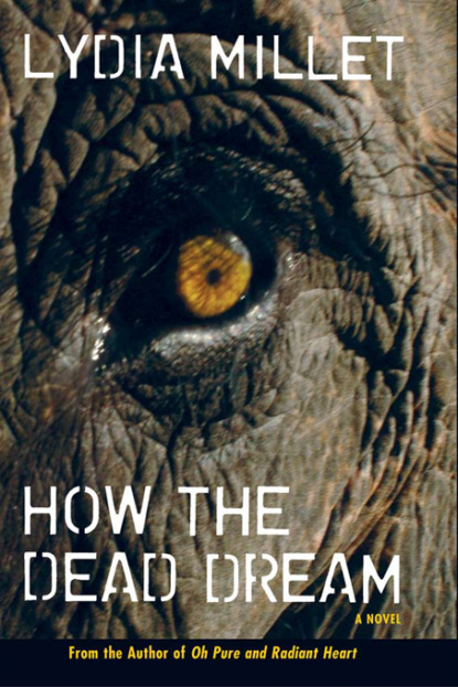 

How the Dead Dream
