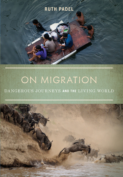 

On Migration