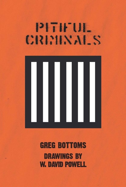 Greg Bottoms — Pitiful Criminals